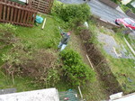 20140510 Removing hedge from front garden
